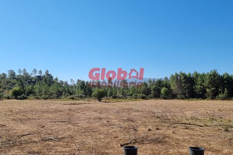 Farm i Mangualde, Viseu, Mangualde - € 55.000 | Ref: 189222261 - foto 1