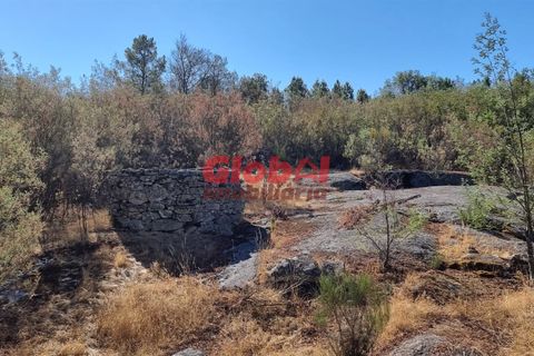 Farm i Mangualde, Viseu, Mangualde - € 55.000 | Ref: 189222261 - foto 3