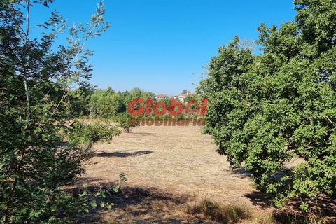 Farm i Mangualde, Viseu, Mangualde - € 55.000 | Ref: 189222261 - foto 4