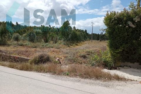 Helårsgrund i Torres Vedras, Lisbon, Torres Vedras - € 175.000 | Ref: TV/DN002-22 - foto 6