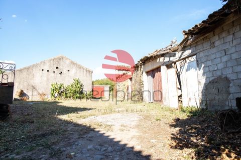 Landejendom i Meda, Guarda, Meda - € 168.000 | Ref: 374/MDA - foto 10