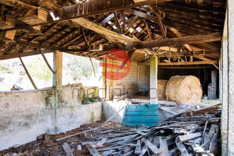 Landejendom i Meda, Guarda, Meda - € 168.000 | Ref: 374/MDA - foto 12