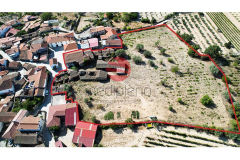 Landejendom i Meda, Guarda, Meda - € 168.000 | Ref: 374/MDA - foto 17