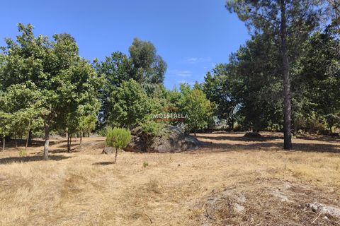 Farm i Gouveia, Guarda, Gouveia - € 67.500 | Ref: 22016 - foto 2