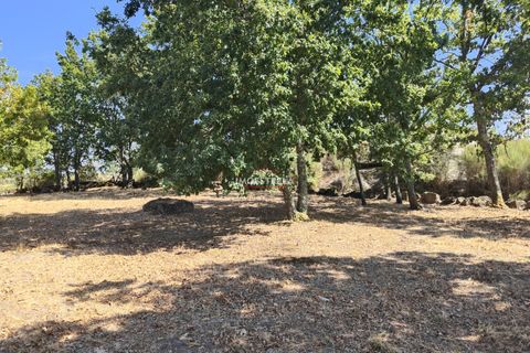 Farm i Gouveia, Guarda, Gouveia - € 67.500 | Ref: 22016 - foto 3