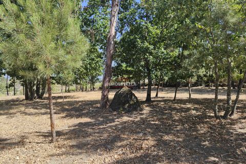 Farm i Gouveia, Guarda, Gouveia - € 67.500 | Ref: 22016 - foto 4