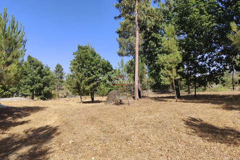 Farm i Gouveia, Guarda, Gouveia - € 67.500 | Ref: 22016 - foto 5