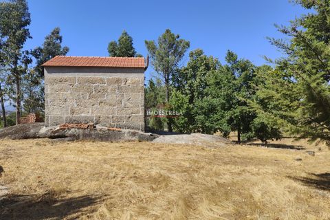 Farm i Gouveia, Guarda, Gouveia - € 67.500 | Ref: 22016 - foto 6