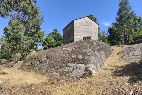 Farm i Gouveia, Guarda, Gouveia - € 67.500 | Ref: 22016 - foto 8