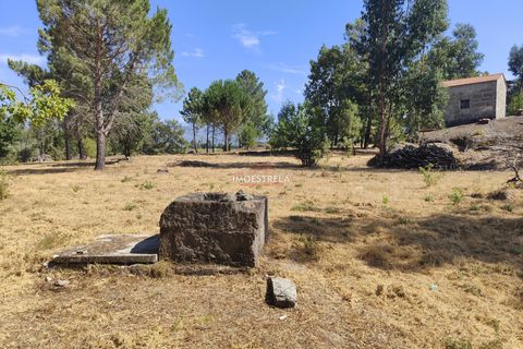 Farm i Gouveia, Guarda, Gouveia - € 67.500 | Ref: 22016 - foto 10