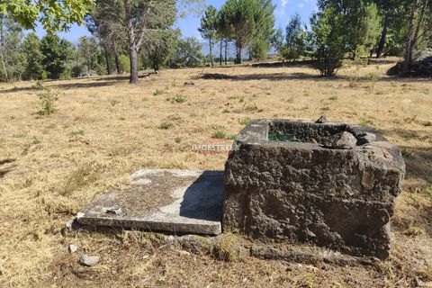 Farm i Gouveia, Guarda, Gouveia - € 67.500 | Ref: 22016 - foto 11