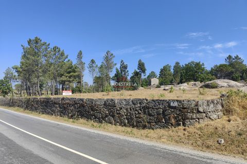 Farm i Gouveia, Guarda, Gouveia - € 67.500 | Ref: 22016 - foto 12