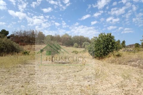 Helårsgrund i Belmonte, Castelo Branco, Belmonte - € 15.000 | Ref: House_162 - foto 3