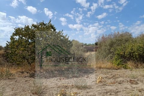 Helårsgrund i Belmonte, Castelo Branco, Belmonte - € 15.000 | Ref: House_162 - foto 2