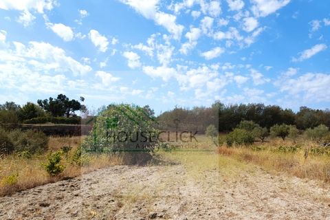 Helårsgrund i Belmonte, Castelo Branco, Belmonte - € 15.000 | Ref: House_162 - foto 5