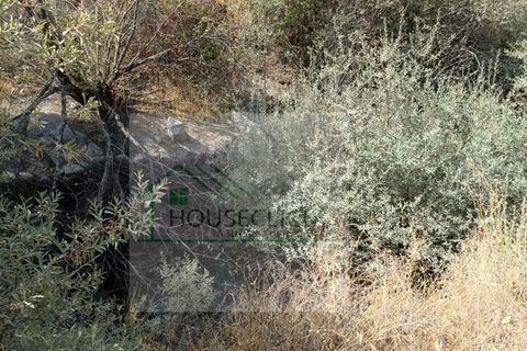 Helårsgrund i Belmonte, Castelo Branco, Belmonte - € 15.000 | Ref: House_162 - foto 6