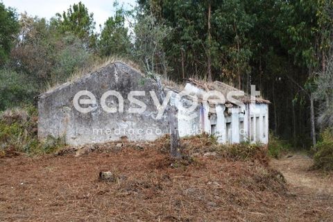 Villa i Igreja Nova do Sobral, Santarem, Igreja Nova do Sobral - € 49.000 | Ref: TM89553 - foto 2
