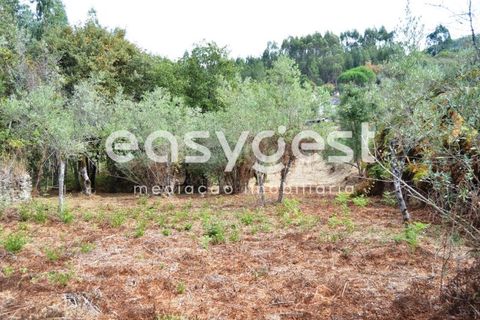 Villa i Igreja Nova do Sobral, Santarem, Igreja Nova do Sobral - € 49.000 | Ref: TM89553 - foto 3