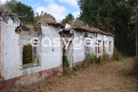 Villa i Igreja Nova do Sobral, Santarem, Igreja Nova do Sobral - € 49.000 | Ref: TM89553 - foto 4