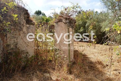 Villa i Igreja Nova do Sobral, Santarem, Igreja Nova do Sobral - € 49.000 | Ref: TM89553 - foto 6