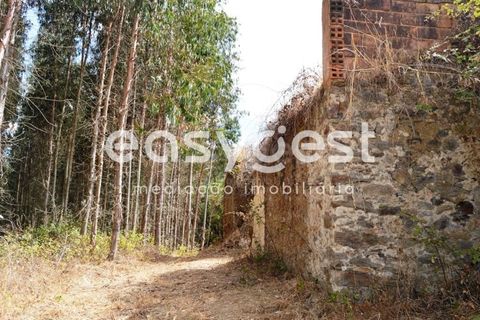 Villa i Igreja Nova do Sobral, Santarem, Igreja Nova do Sobral - € 49.000 | Ref: TM89553 - foto 7