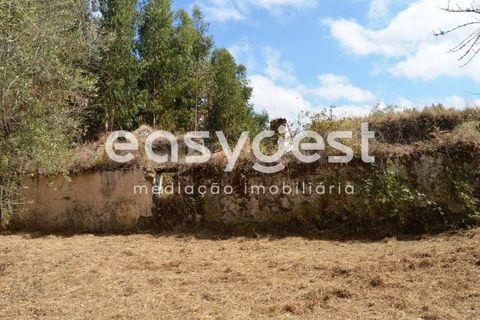 Villa i Igreja Nova do Sobral, Santarem, Igreja Nova do Sobral - € 49.000 | Ref: TM89553 - foto 9
