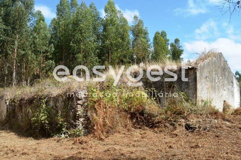 Villa i Igreja Nova do Sobral, Santarem, Igreja Nova do Sobral - € 49.000 | Ref: TM89553 - foto 10