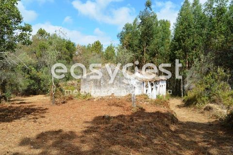 Villa i Igreja Nova do Sobral, Santarem, Igreja Nova do Sobral - € 49.000 | Ref: TM89553 - foto 11