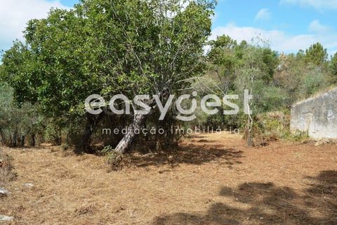 Villa i Igreja Nova do Sobral, Santarem, Igreja Nova do Sobral - € 49.000 | Ref: TM89553 - foto 12