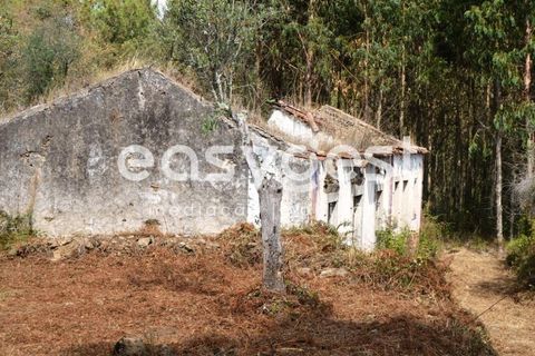 Villa i Igreja Nova do Sobral, Santarem, Igreja Nova do Sobral - € 49.000 | Ref: TM89553 - foto 13