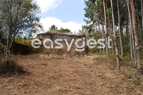 Villa i Igreja Nova do Sobral, Santarem, Igreja Nova do Sobral - € 49.000 | Ref: TM89553 - foto 17