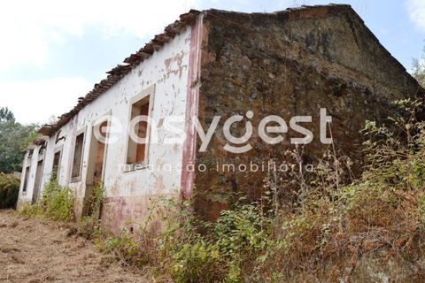 Villa i Igreja Nova do Sobral, Santarem, Igreja Nova do Sobral - € 49.000 | Ref: TM89553 - foto 19