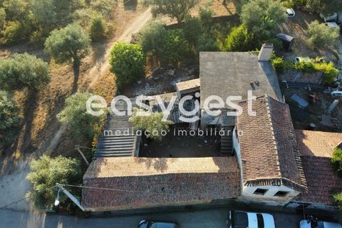 Villa a Tabua, Coimbra, Tabua - € 50.000 | Ref: RR89557 - foto 5