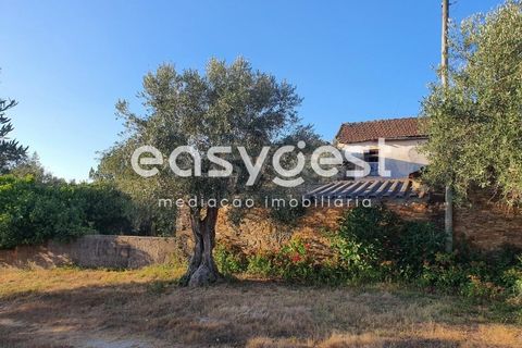 Villa a Tabua, Coimbra, Tabua - € 50.000 | Ref: RR89557 - foto 16