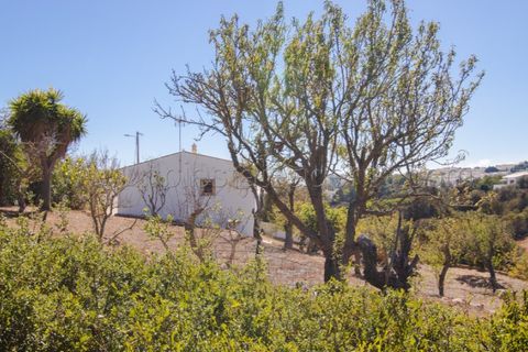Landejendom i Budens, Faro, Budens - € 650.000 | Ref: 10278 - foto 4