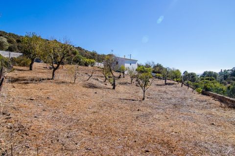 Landejendom i Budens, Faro, Budens - € 650.000 | Ref: 10278 - foto 13