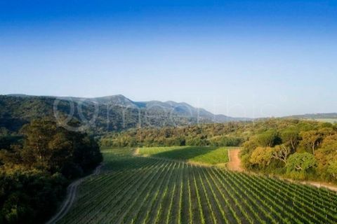 Farm i Setubal, Setubal, Setubal - € 3.500.000 | Ref: MAS_67 - foto 2