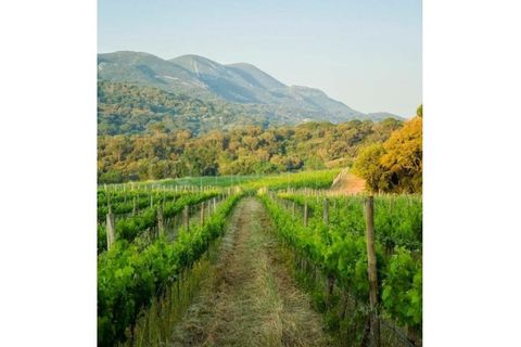 Farm i Setubal, Setubal, Setubal - € 3.500.000 | Ref: MAS_67 - foto 3