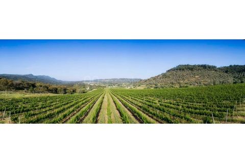 Farm i Setubal, Setubal, Setubal - € 3.500.000 | Ref: MAS_67 - foto 5