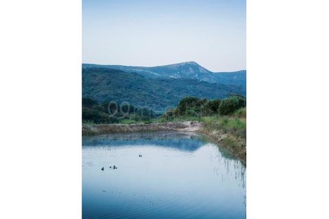 Farm i Setubal, Setubal, Setubal - € 3.500.000 | Ref: MAS_67 - foto 7