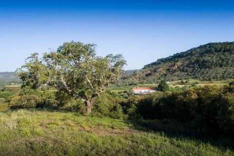 Farm i Setubal, Setubal, Setubal - € 3.500.000 | Ref: MAS_67 - foto 9