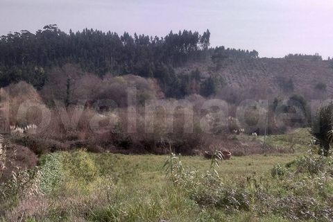 Helårsgrund i Aveiro, Aveiro, Aveiro - € 55.000 | Ref: ni984 - foto 2
