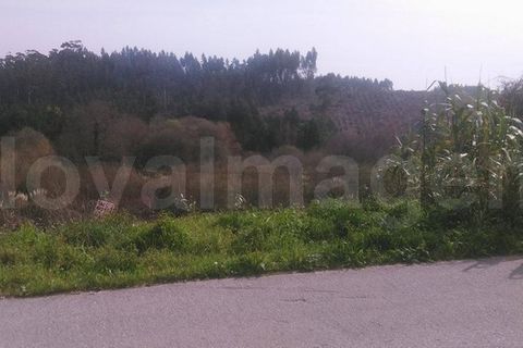 Helårsgrund i Aveiro, Aveiro, Aveiro - € 55.000 | Ref: ni984 - foto 4