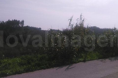 Helårsgrund i Aveiro, Aveiro, Aveiro - € 55.000 | Ref: ni984 - foto 5