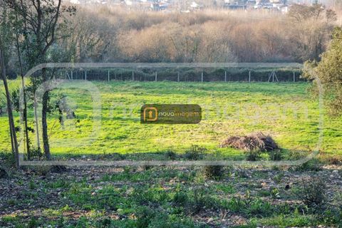 Helårsgrund i Aveiro, Aveiro, Aveiro - € 55.000 | Ref: Ni1755 - foto 1