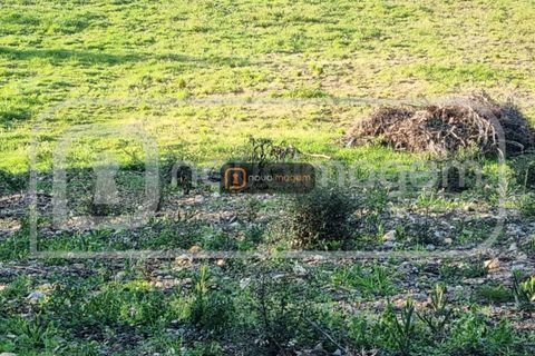 Helårsgrund i Aveiro, Aveiro, Aveiro - € 55.000 | Ref: Ni1755 - foto 2
