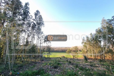Helårsgrund i Aveiro, Aveiro, Aveiro - € 55.000 | Ref: Ni1755 - foto 3
