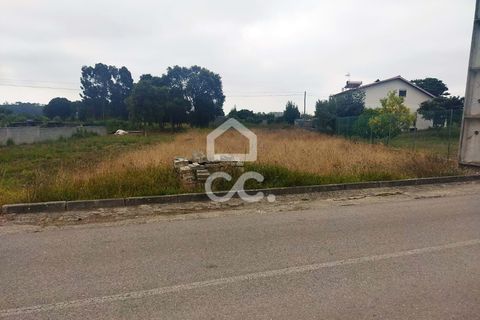 Terra a Monte Real, Leiria, Monte Real - € 45.000 | Ref: 235/T/01351 - foto 10