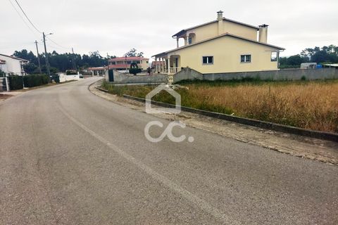 Terra a Monte Real, Leiria, Monte Real - € 45.000 | Ref: 235/T/01351 - foto 5