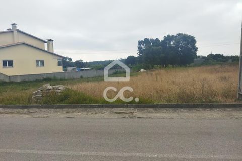 Terra a Monte Real, Leiria, Monte Real - € 45.000 | Ref: 235/T/01351 - foto 6